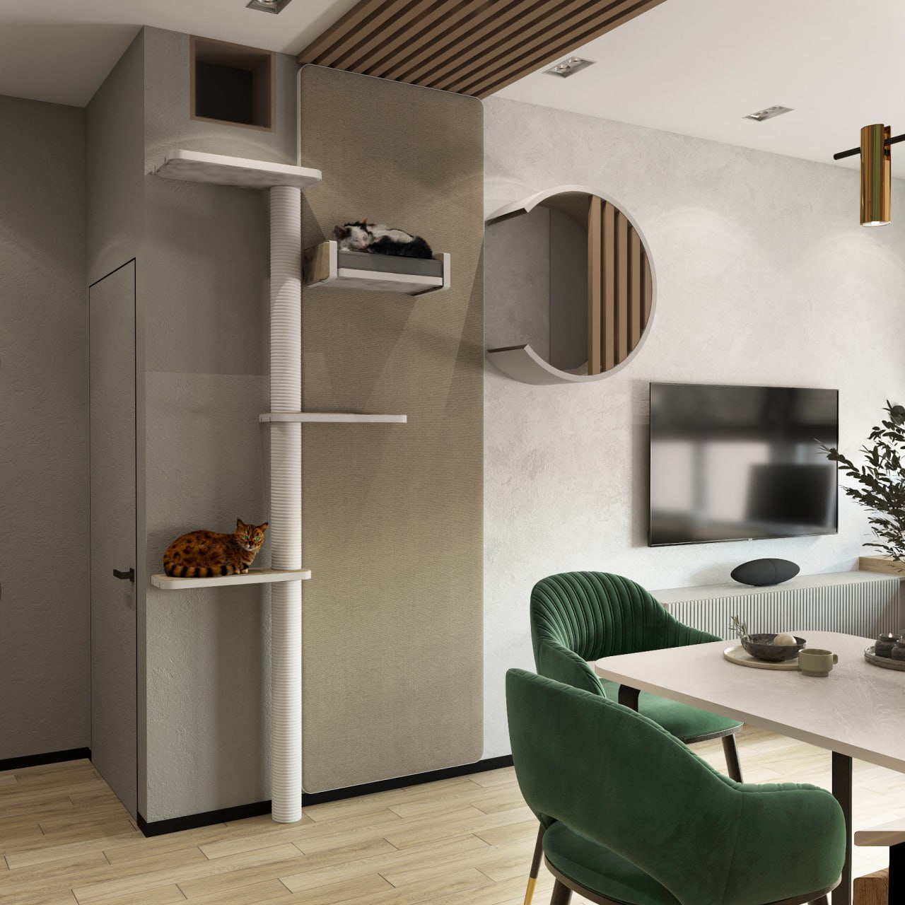 кошачья инфраструктура в квартире 42 кв м полки для кошек на стенах